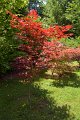 0109Arboretum de Balaine